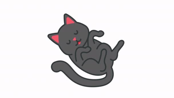 可爱的灰猫梦游动画 — 图库视频影像