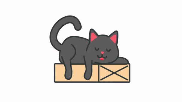 Cute Grey Cat Sleeping Box Animation — Stock Video