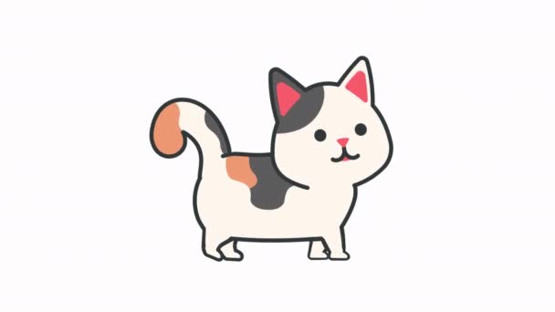 Μια Χαριτωμένη Γάτα Περπατώντας Animation — Αρχείο Βίντεο