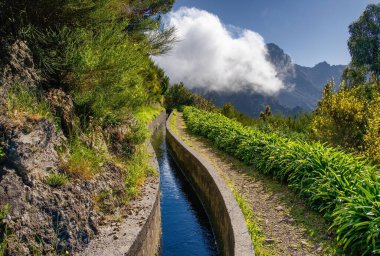Portekiz 'in Madeira adasında Levada do Norte manzarası. Madeira 'da ilkbahar. Levada sulama kanalı. Madeira 'da yürüyüş.
