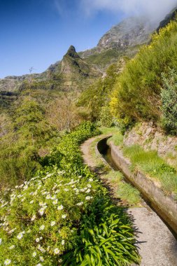 Portekiz 'in Madeira adasında Levada do Norte manzarası. Madeira 'da ilkbahar. Levada sulama kanalı. Madeira 'da yürüyüş. Levada 'nın yanındaki patikada. Madeira, Portekiz 'de yürüyüş. Levada Norte.
