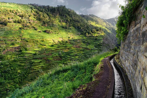 Levada Moinho Levada Madeira Portugal Green Valley Canal Riego Bordeado —  Fotos de Stock