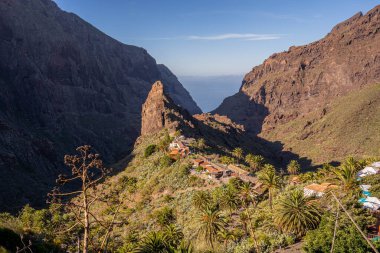 Masca 'nın dağ köyü manzarası. İspanya, Tenerife 'deki Masca Vadisi. Oldukça turistik olan dağlarda küçük ünlü bir köy..