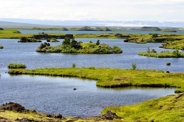 Mvtn Lake Severu Islandu Evropa Malé Zelené Ostrůvky Jezeře Mvtn — Stock fotografie