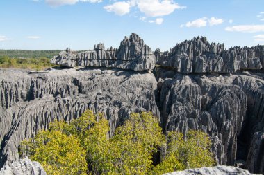 Tsingy de Bemaraha Ulusal Parkı. Büyük Tsingy, Bekopaka, Madagaskar. Kireç taşı keskin kayaların görüntüsü.