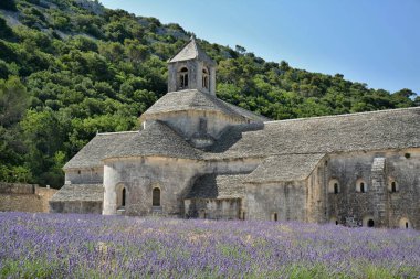 Abbaye Notre-Dame de Snanque, Snanque Abbey, Provence, Fransa. Arkaplanda lavanta alanı olan manastırı görüntüle.