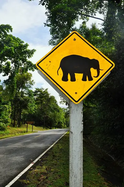 Road sign elephant. Black elephant silhouette on a yellow background. Yellow rhombus road warning sign with black elephant. Khao Yai National Park, Thailand, Asia. Beware of wild elephants.