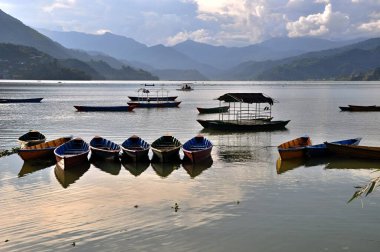 Pokhara 'daki Phewa Gölü. Phewa Gölü 'ndeki Colofrul tekneleri. Nepal, Asya.