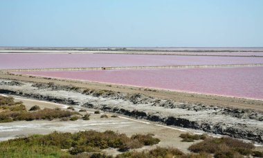 Salin de Giraud 'un Pembe Gölleri, Camargue deltasının güneydoğusu, Arles, Fransa.