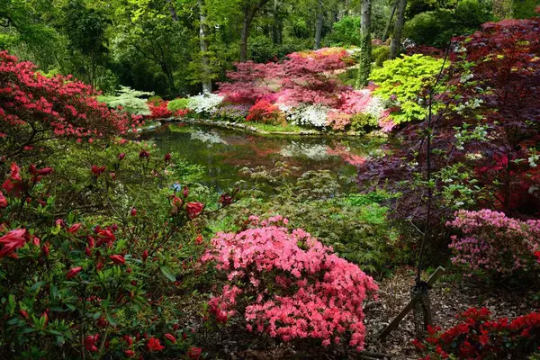 エクスベリーガーデンズ 美しい庭園のアザラとロードドンドンと池の景色 サウサンプトン ハンプシャー イギリス ヨーロッパ — ストック写真