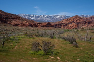 Red Cliffs Koruma Alanı, Hurricane, Utah, ABD. Arkasında karlı dağlar olan kızıl dağlar..