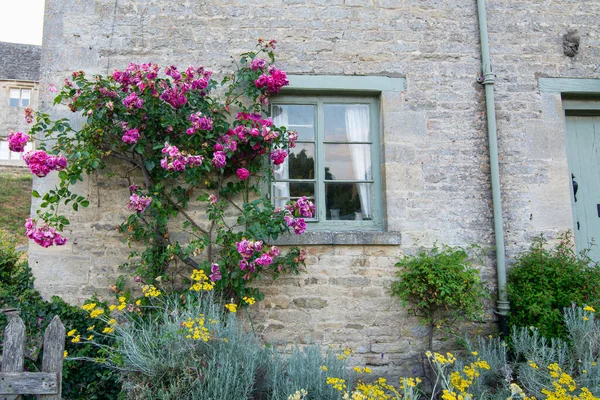 Romantic pastel green window and stone wall with tending pink roses. Bibury, Cotswolds, Gloucestershire, England, United Kingdom, Europe.