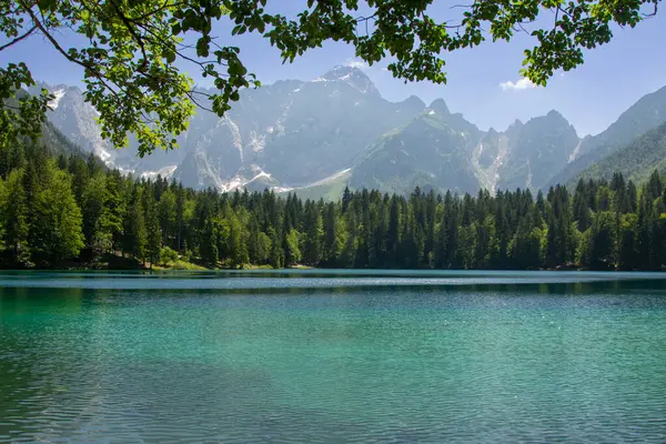 İtalyan Laghi di Fusine gölleri. Arkasında dağlar olan turkuaz bir göl. Tarvisio, İtalya, Avrupa.