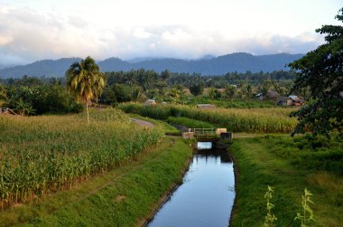 Landscape in Bogani Nani Wartabone National Park, Sulawesi, Indonesia, Asia. clipart