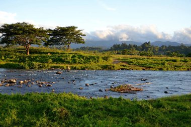 Landscape in Bogani Nani Wartabone National Park, Sulawesi, Indonesia, Asia. clipart