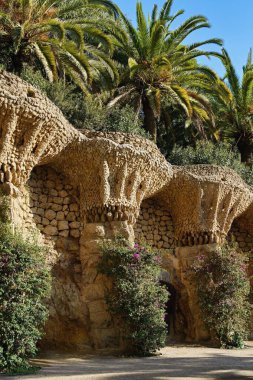 Gell Park, Barselona, İspanya ve Avrupa 'da palmiye ağaçları.