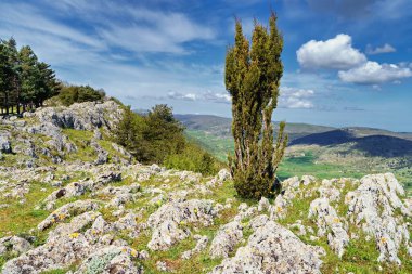 View of rocks in Gargano National Park, Italy, Europe. clipart