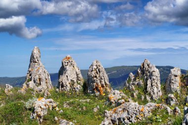 Gargano Ulusal Parkı, İtalya, Avrupa 'daki kayaların manzarası.
