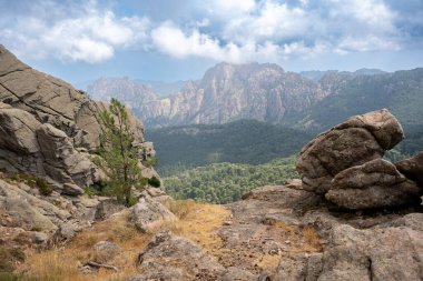 Bavella 'daki dağların manzarası. Quenza, Korsika, Fransa.
