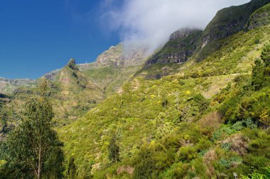 Portekiz 'in Madeira adasında Levada do Norte manzarası. Madeira 'da ilkbahar. Levada sulama kanalı. Madeira 'da yürüyüş. Levada 'nın yanındaki patikada. Madeira, Portekiz 'de yürüyüş. Levada Norte.