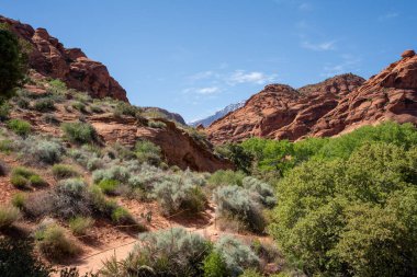 Red Cliff Ulusal Koruma Alanındaki kırmızı kayaların görüntüsü, Utah, ABD.