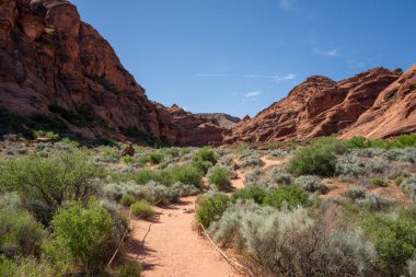 Red Cliff Ulusal Koruma Alanındaki kırmızı kayaların görüntüsü, Utah, ABD.