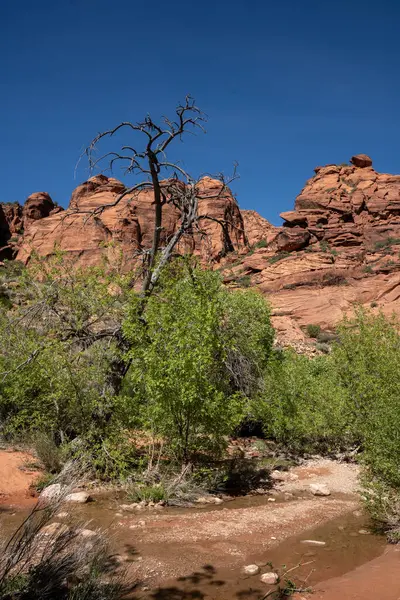 Red Cliff Ulusal Koruma Alanındaki kırmızı kayaların görüntüsü, Utah, ABD.