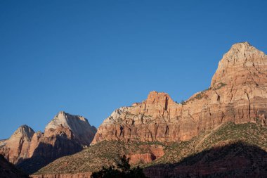 Yaz boyunca Zion Ulusal Parkı 'nda. Utah, ABD.