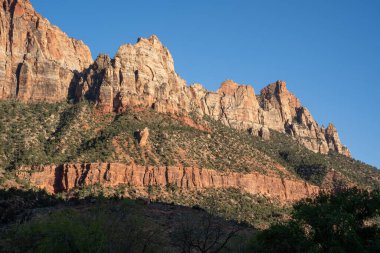 Yaz boyunca Zion Ulusal Parkı 'nda. Utah, ABD.