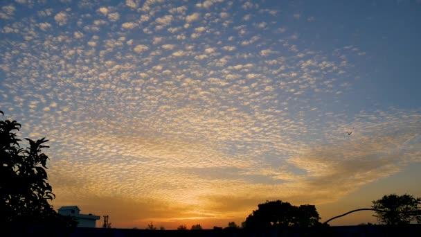 Aves Volando Una Línea Junto Con Nubes Puesta Sol Desde — Vídeos de Stock