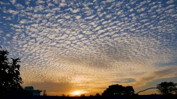 散らばった雲と美しい夕日 ゴールデンサンセット — ストック動画