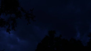 Geceleri gökyüzü karanlıktı. Ağaçlar ve ay ışığı olan bulutlar..