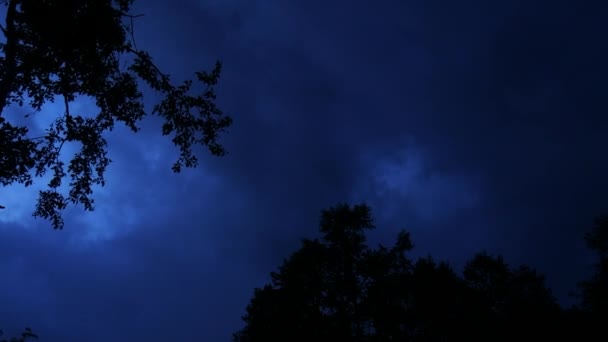 Céu Noite Com Nuvens Árvores Pouco Luar — Vídeo de Stock