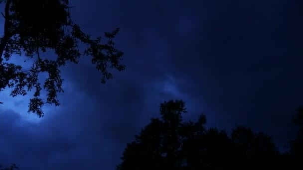 Тімелапс Неба Висоті Темної Ночі Хмарами Деревами Місячним Світлом — стокове відео