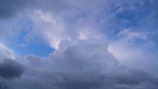 Sötét Felhők Időrendje Tölti Fehér Felhőket Kék Égen Videó Fehér — Stock videók
