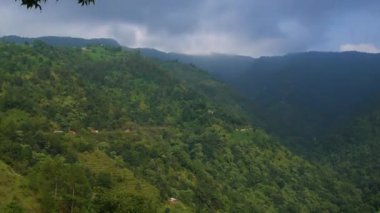 Doğa ve yeşillik dolu tepelerin panoramik manzarası, ağaçlarla dolu tepe ve doğal yeşil bitki örtüsü.