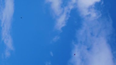 İki uçurtma, kırmızı uçurtma ve mavi uçurtma. Mavi gökyüzünde uçuyorlar. Biraz beyaz bulutla birlikte. Uçurtmalar birbirini kesmeye çalışıyor..