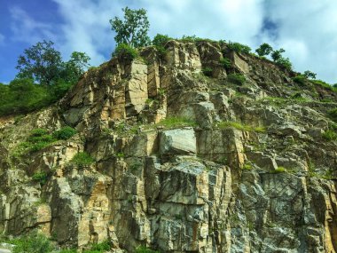 Yeşil ağaçlı ve mavi bulutlu arkaplanlı Rocky Dağı manzarası.
