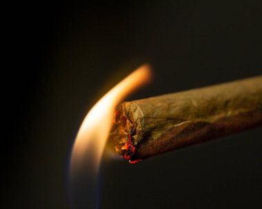 Macro shot of lighting a rolled cigarette isolated on the black background with flames. clipart