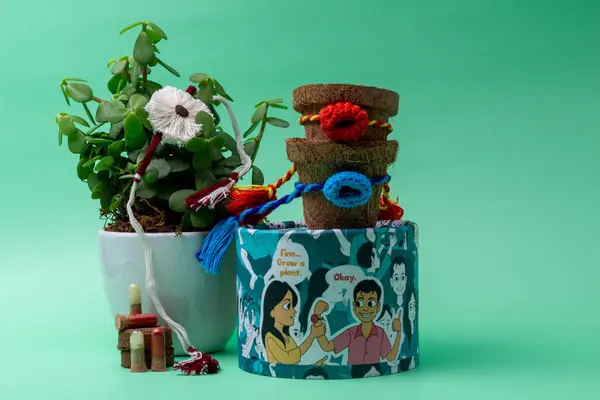 stock image Eco-friendly Rakhi celebrations with the beauty of plants