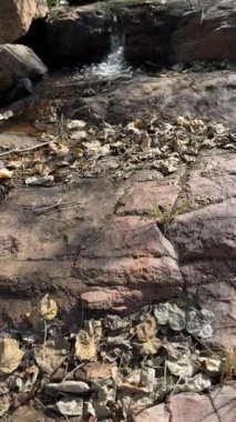  Ormanın ortasında yeşilliklerle çevrili güzel bir şelale.