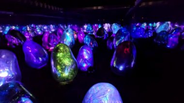 Takım Laboratuvarı Gezegenleri, suda yürüdüğünüz bir müze ve çiçeklerle bir olduğunuz bir bahçe. 4 büyük ölçekli sanat eserleri alanı ve sanat ortaklaşa yapılan 2 bahçeden oluşur..