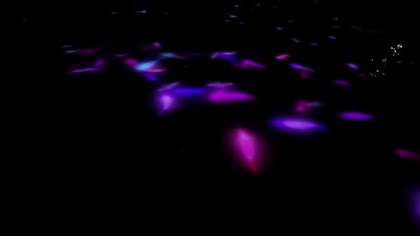 Teamlab Planets Museum You Walk Water Garden You Become One — Stock Video
