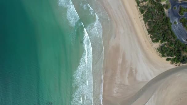 Australiano Victoria Anglesea Lorne Queenscliff Reserva Costeira Great Ocean Road — Vídeo de Stock