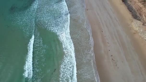 Австралійський Вікторія Anglesea Lorne Queenscliff Прибережний Заповідник Great Ocean Road — стокове відео