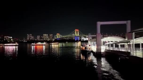 Tokyo Odaiba Sahil Parkı Concordia Kış 2023 — Stok video