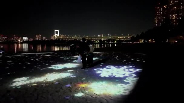 2023年冬季东京奥代巴海滨公园 — 图库视频影像