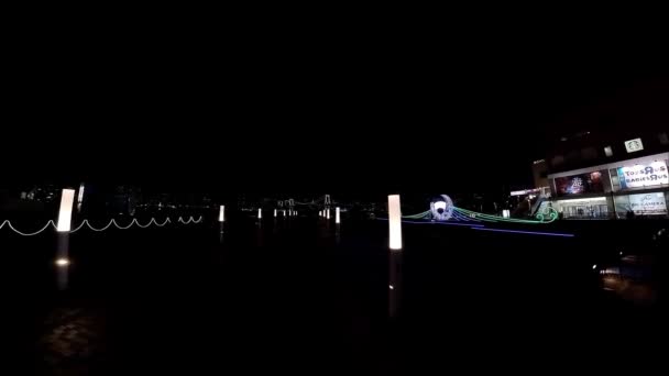 Τόκιο Odaiba Marine Park Sign Night Winter Φωτισμός 2023 — Αρχείο Βίντεο