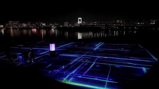 2023年冬季东京奥代巴海滨公园 — 图库视频影像