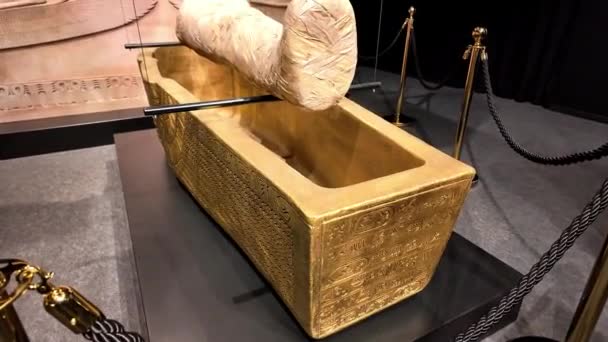Tutankhamon Látványos Világa Magával Ragadó Kiállítási Élmény Stuttgart — Stock videók